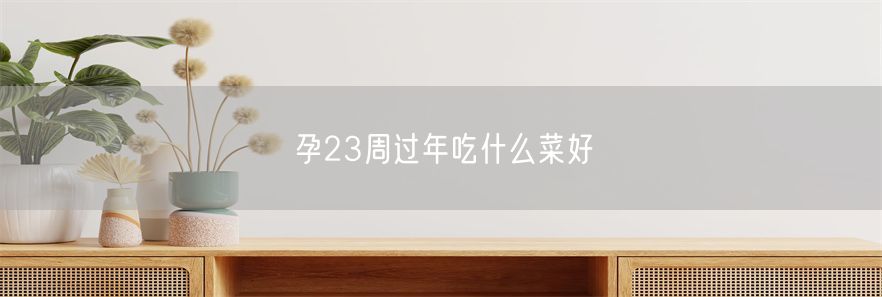 孕23周过年吃什么菜好