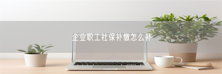 企业职工社保补缴怎么补