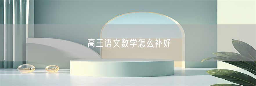 高三语文数学怎么补好