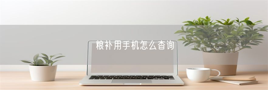 粮补用手机怎么杳询