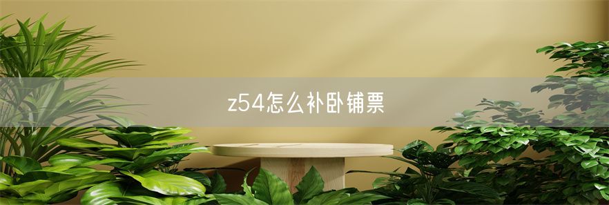 z54怎么补卧铺票