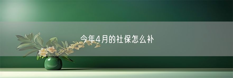 今年4月的社保怎么补(1)