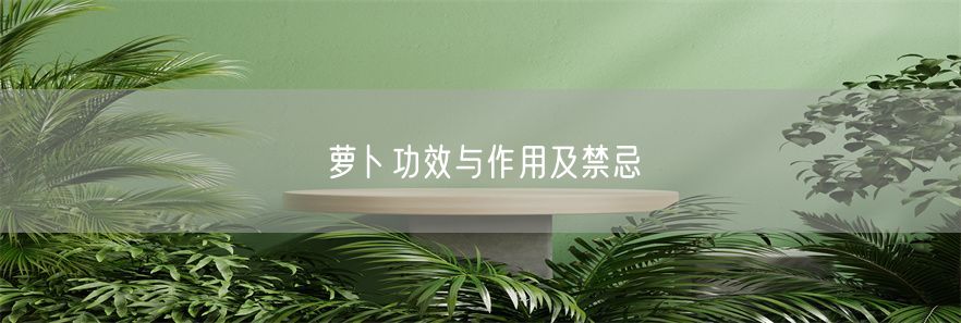 萝卜功效与作用及禁忌