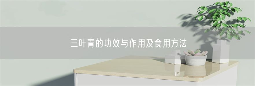 三叶青的功效与作用及食用方法(1)