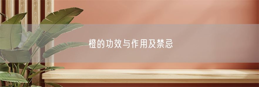 橙的功效与作用及禁忌(1)