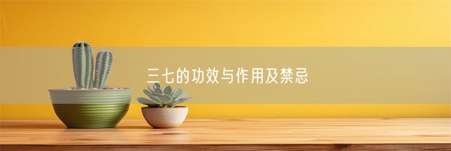 三七的功效与作用及禁忌(1)