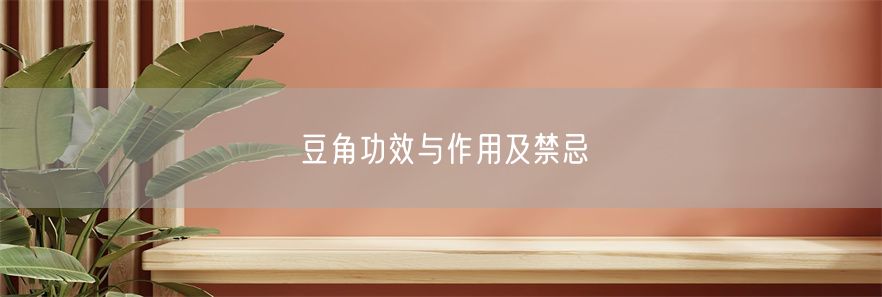 豆角功效与作用及禁忌(1)