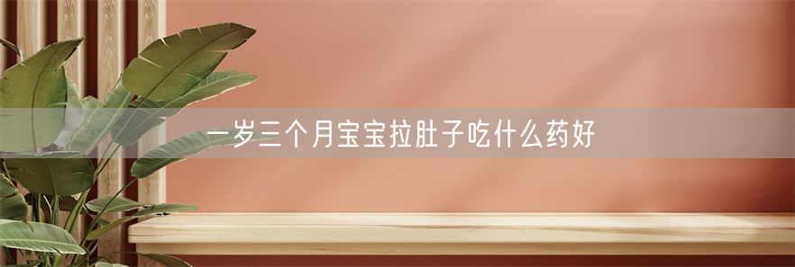 一岁三个月宝宝拉肚子吃什么药好(1)