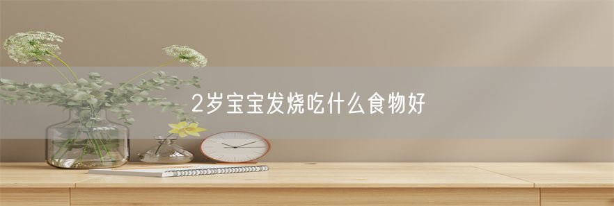 2岁宝宝发烧吃什么食物好(1)