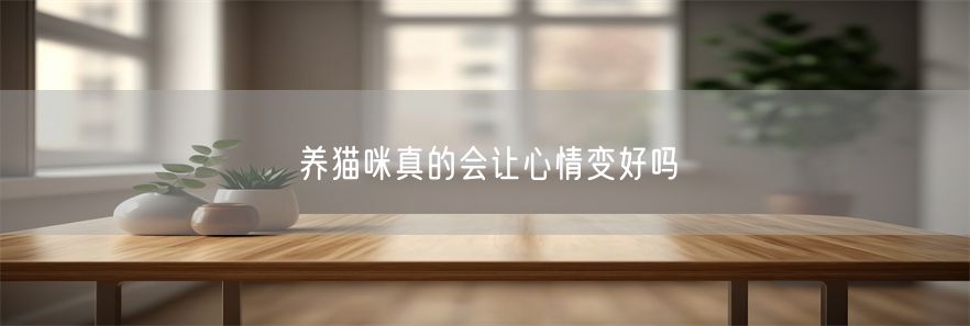 养猫咪真的会让心情变好吗(1)