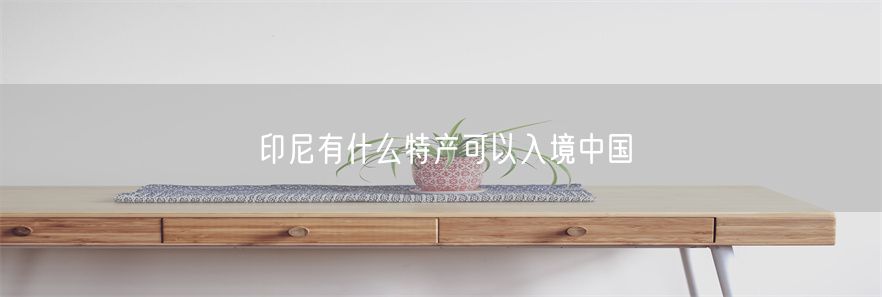 印尼有什么特产可以入境中国(1)
