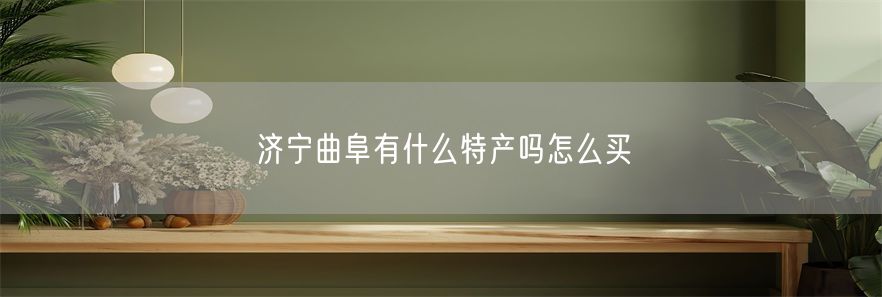 济宁曲阜有什么特产吗怎么买