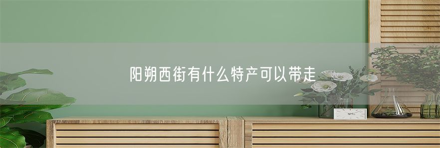 阳朔西街有什么特产可以带走