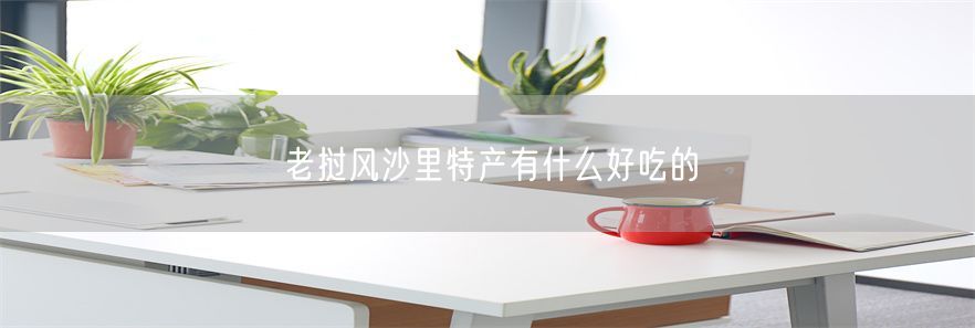 老挝风沙里特产有什么好吃的