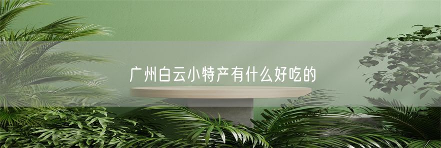 广州白云小特产有什么好吃的(1)