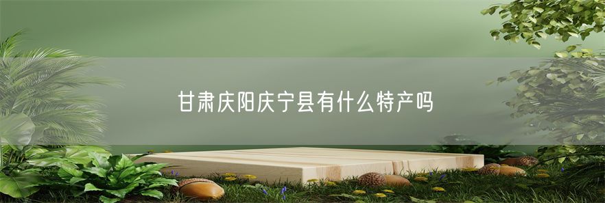 甘肃庆阳庆宁县有什么特产吗(1)