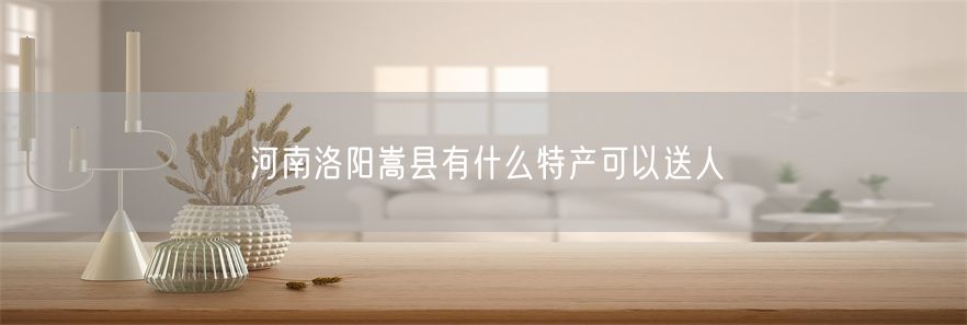 河南洛阳嵩县有什么特产可以送人(1)