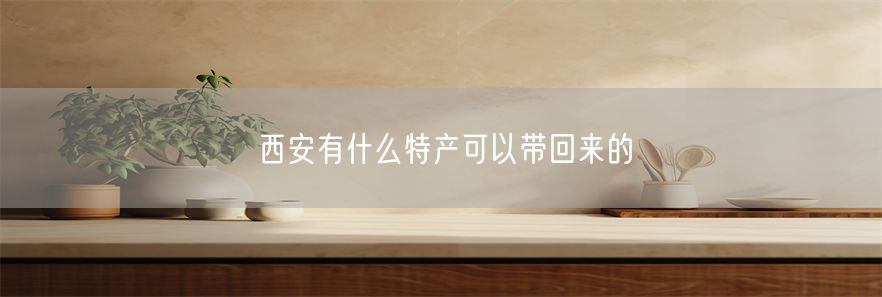 西安有什么特产可以带回来的