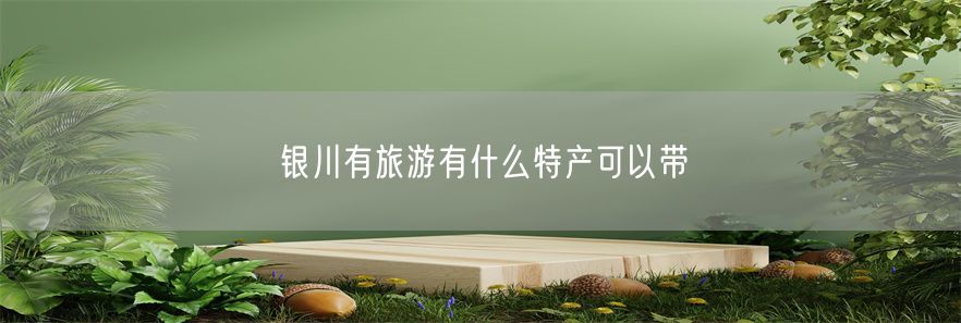 银川有旅游有什么特产可以带(1)