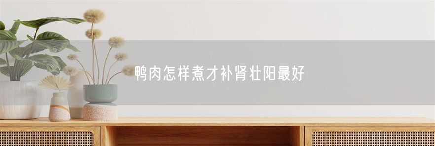 鸭肉怎样煮才补肾壮阳最好