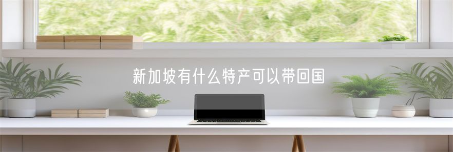 新加坡有什么特产可以带回国