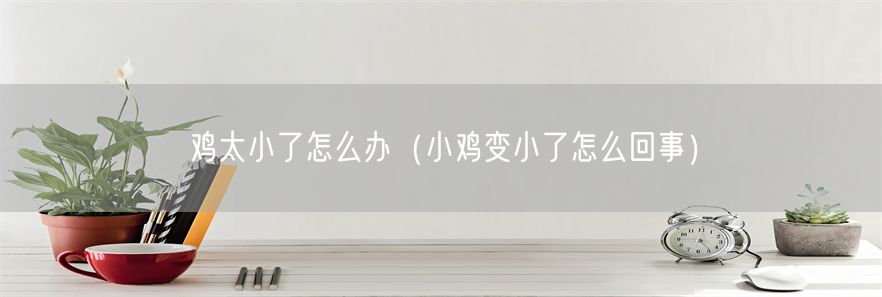 鸡太小了怎么办（小鸡变小了怎么回事）(1)