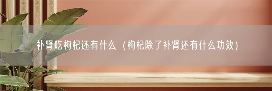 补肾吃枸杞还有什么（枸杞除了补肾还有什么功效）(1)