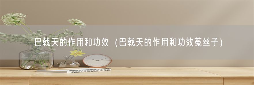 巴戟天的作用和功效（巴戟天的作用和功效菟丝子）(1)