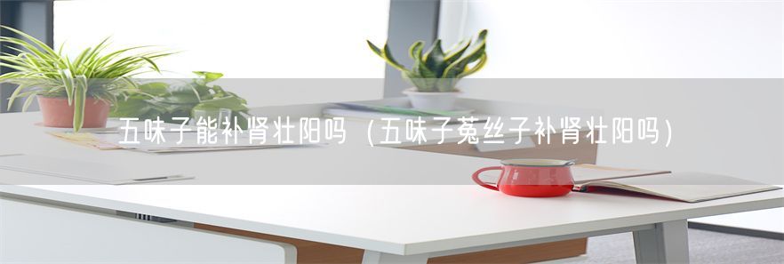 五味子能补肾壮阳吗（五味子菟丝子补肾壮阳吗）(1)