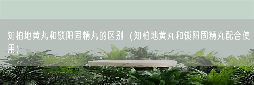 知柏地黄丸和锁阳固精丸的区别（知柏地黄丸和锁阳固精丸配合使用）(1)