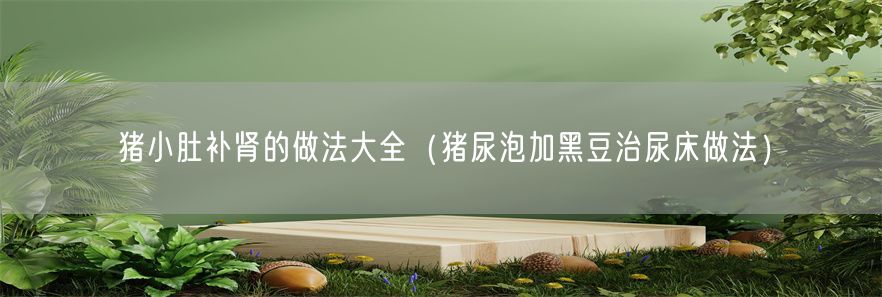 猪小肚补肾的做法大全（猪尿泡加黑豆治尿床做法）(1)