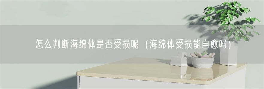 怎么判断海绵体是否受损呢（海绵体受损能自愈吗）(1)
