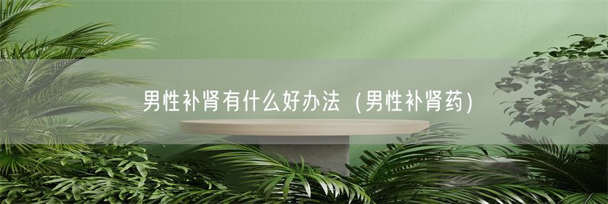 男性补肾有什么好办法（男性补肾药）(1)