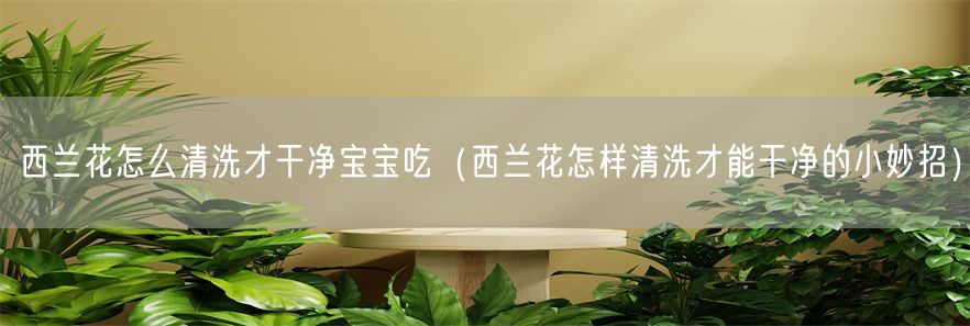 西兰花怎么清洗才干净宝宝吃（西兰花怎样清洗才能干净的小妙招）