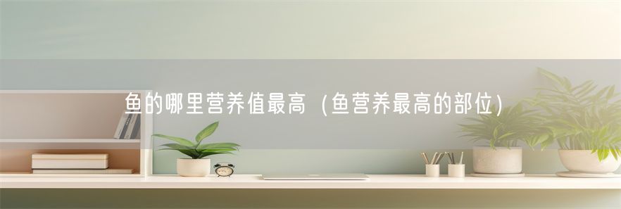 鱼的哪里营养值最高（鱼营养最高的部位）