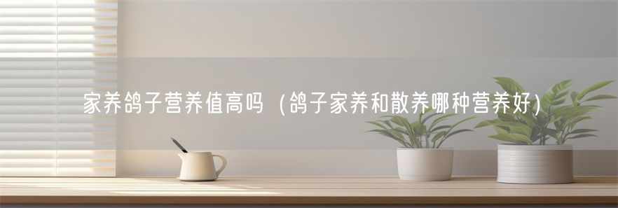 家养鸽子营养值高吗（鸽子家养和散养哪种营养好）