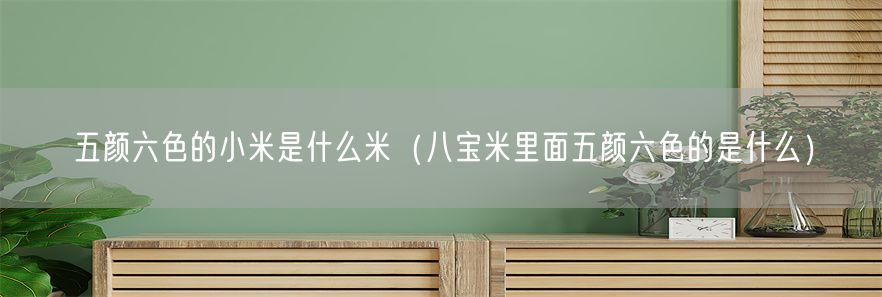 五颜六色的小米是什么米（八宝米里面五颜六色的是什么）
