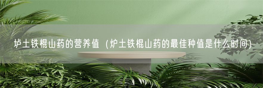 垆土铁棍山药的营养值（炉土铁棍山药的最佳种值是什么时间）