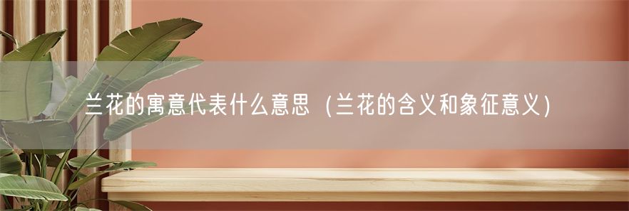 兰花的寓意代表什么意思（兰花的含义和象征意义）