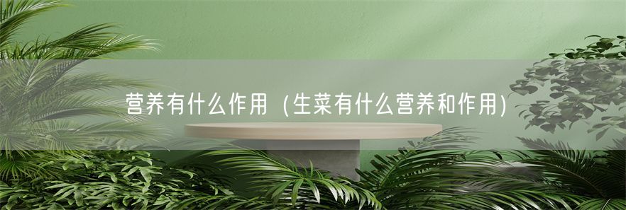 营养有什么作用（生菜有什么营养和作用）(1)