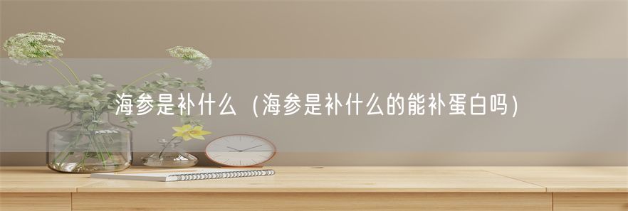 海参是补什么（海参是补什么的能补蛋白吗）(1)