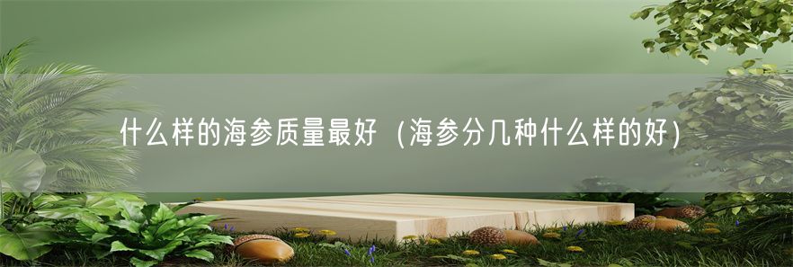 什么样的海参质量最好（海参分几种什么样的好）(1)