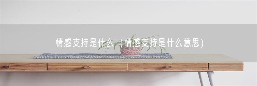 情感支持是什么（情感支持是什么意思）(1)
