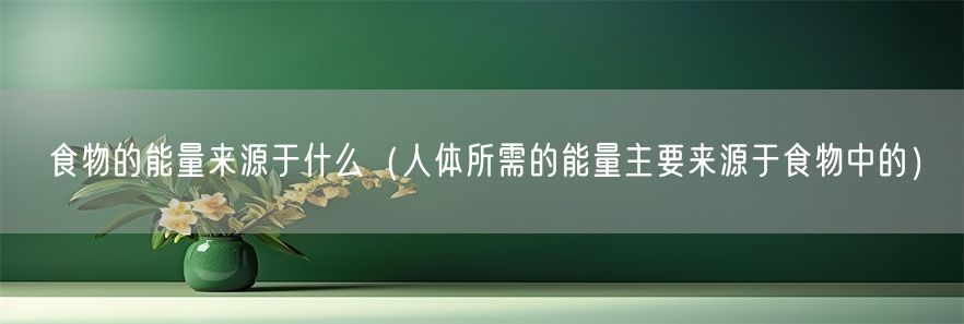 食物的能量来源于什么（人体所需的能量主要来源于食物中的）(1)