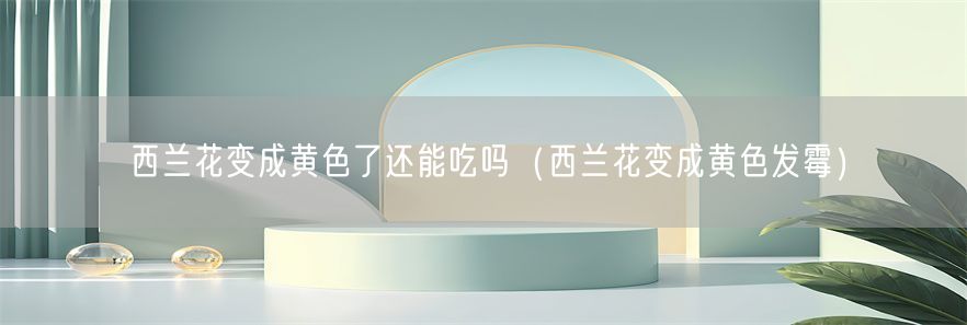 西兰花变成黄色了还能吃吗（西兰花变成黄色发霉）(1)