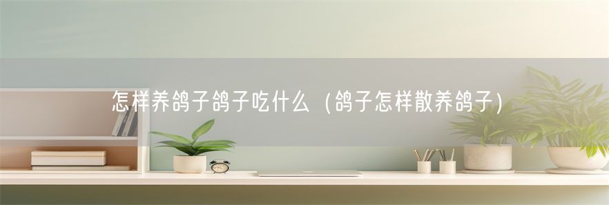 怎样养鸽子鸽子吃什么（鸽子怎样散养鸽子）(1)