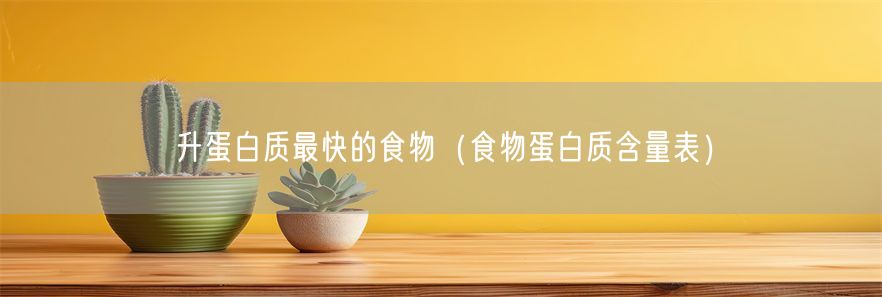 升蛋白质最快的食物（食物蛋白质含量表）(1)