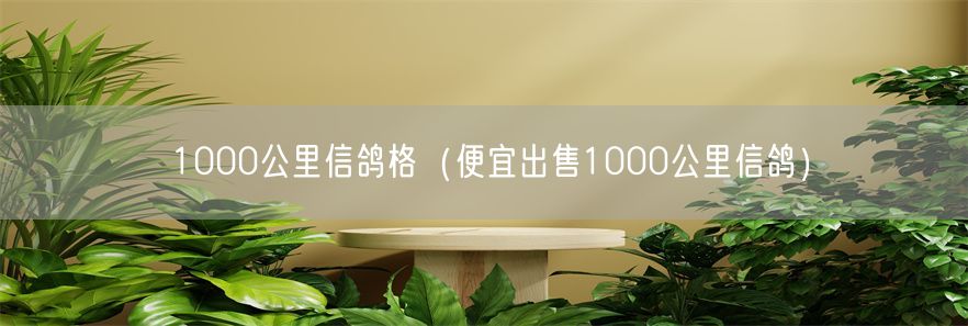 1000公里信鸽格（便宜出售1000公里信鸽）(1)