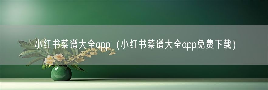 小红书菜谱大全app（小红书菜谱大全app免费下载）(1)