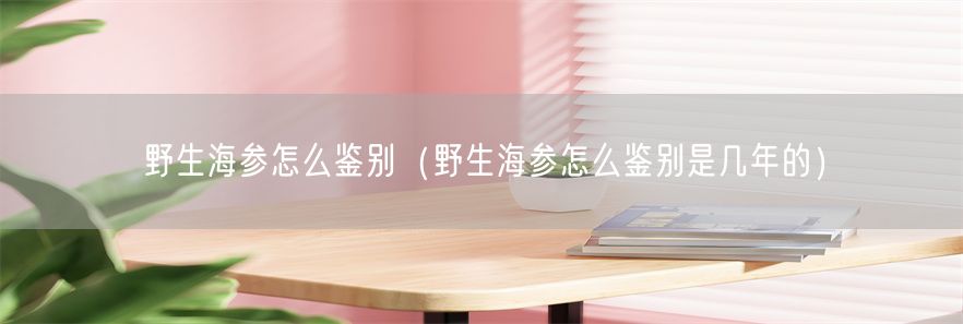 野生海参怎么鉴别（野生海参怎么鉴别是几年的）(1)